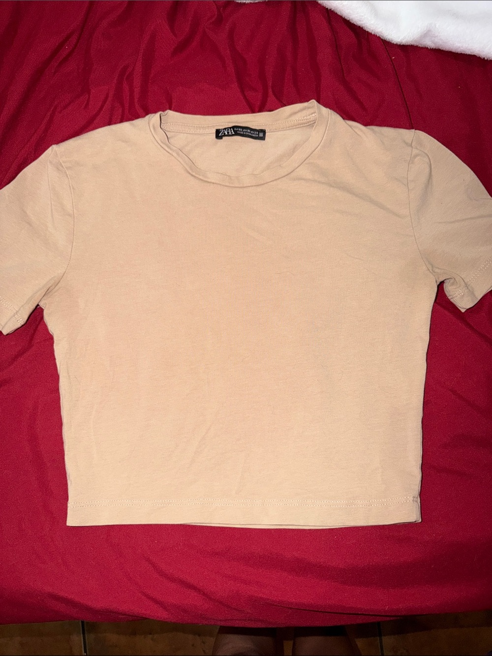 Zara beige cropped tee